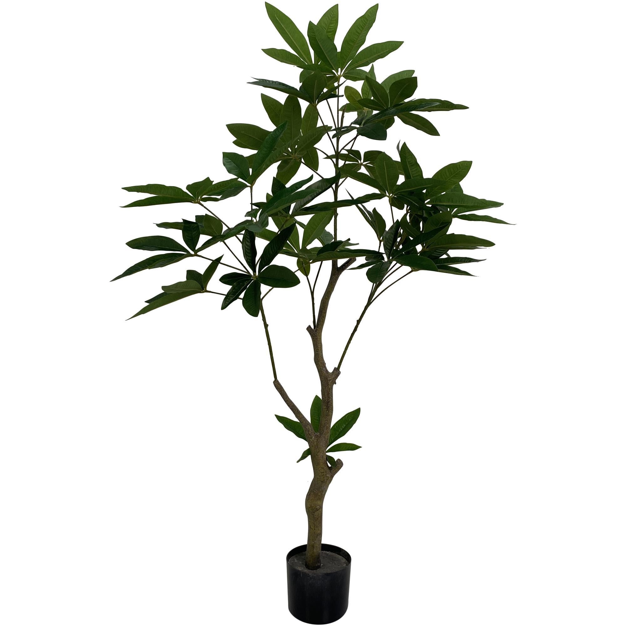 PLANTA DECORATIVA IRIS 592-460051