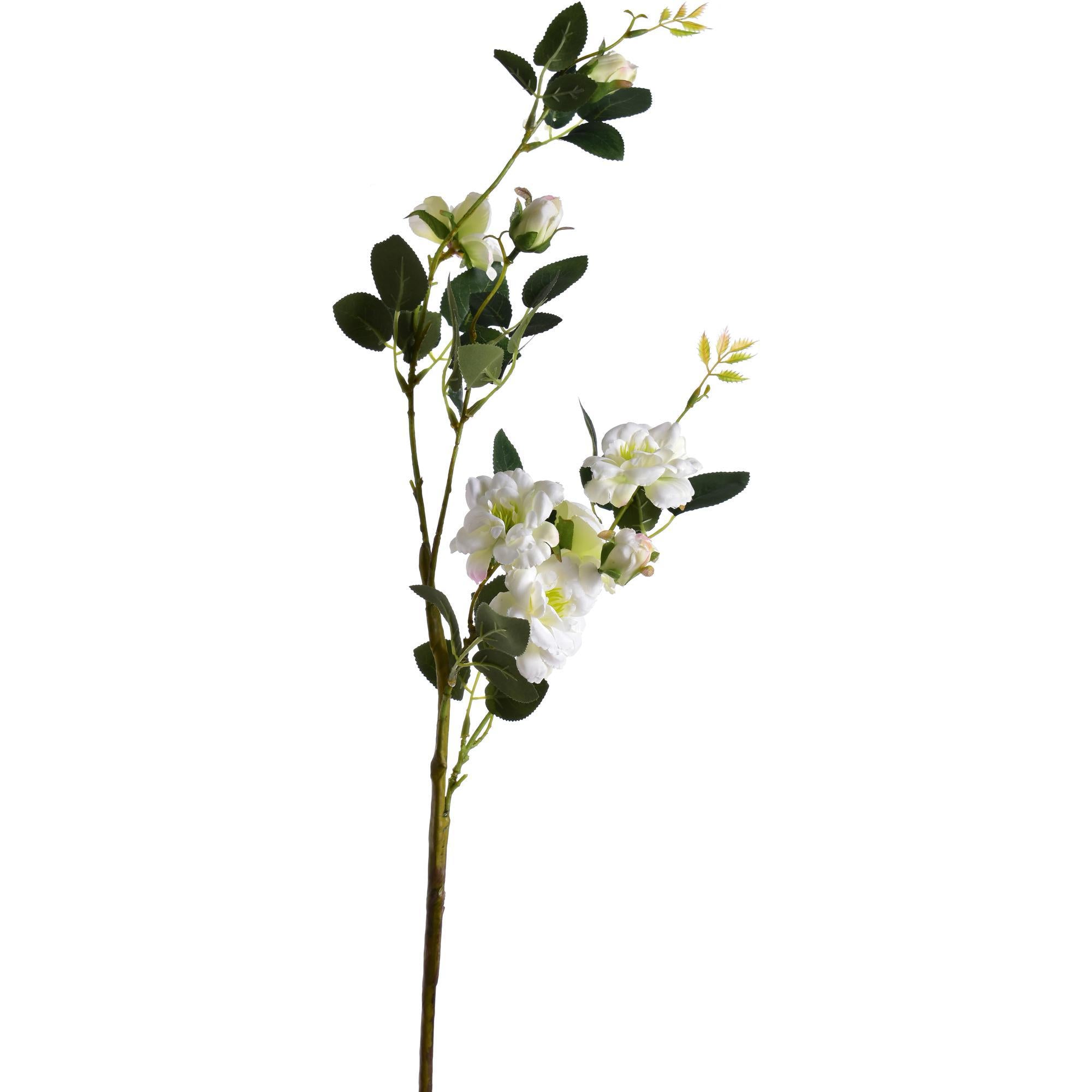 FOLLAJE ROSAS 456-502999