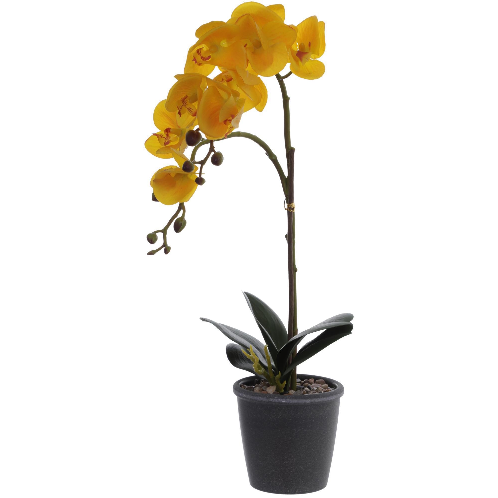 ORQUIDEA AMARILLA MEDIANA 456-55205