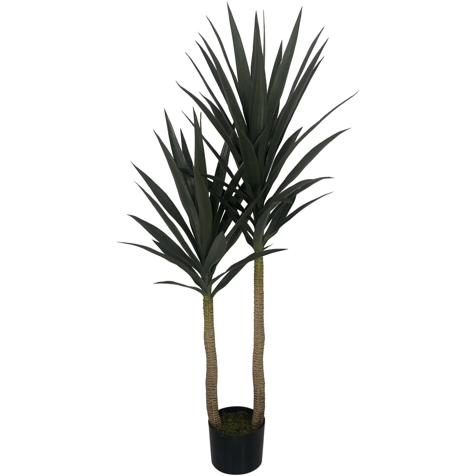 PLANTA DECOR IZO 592-312144