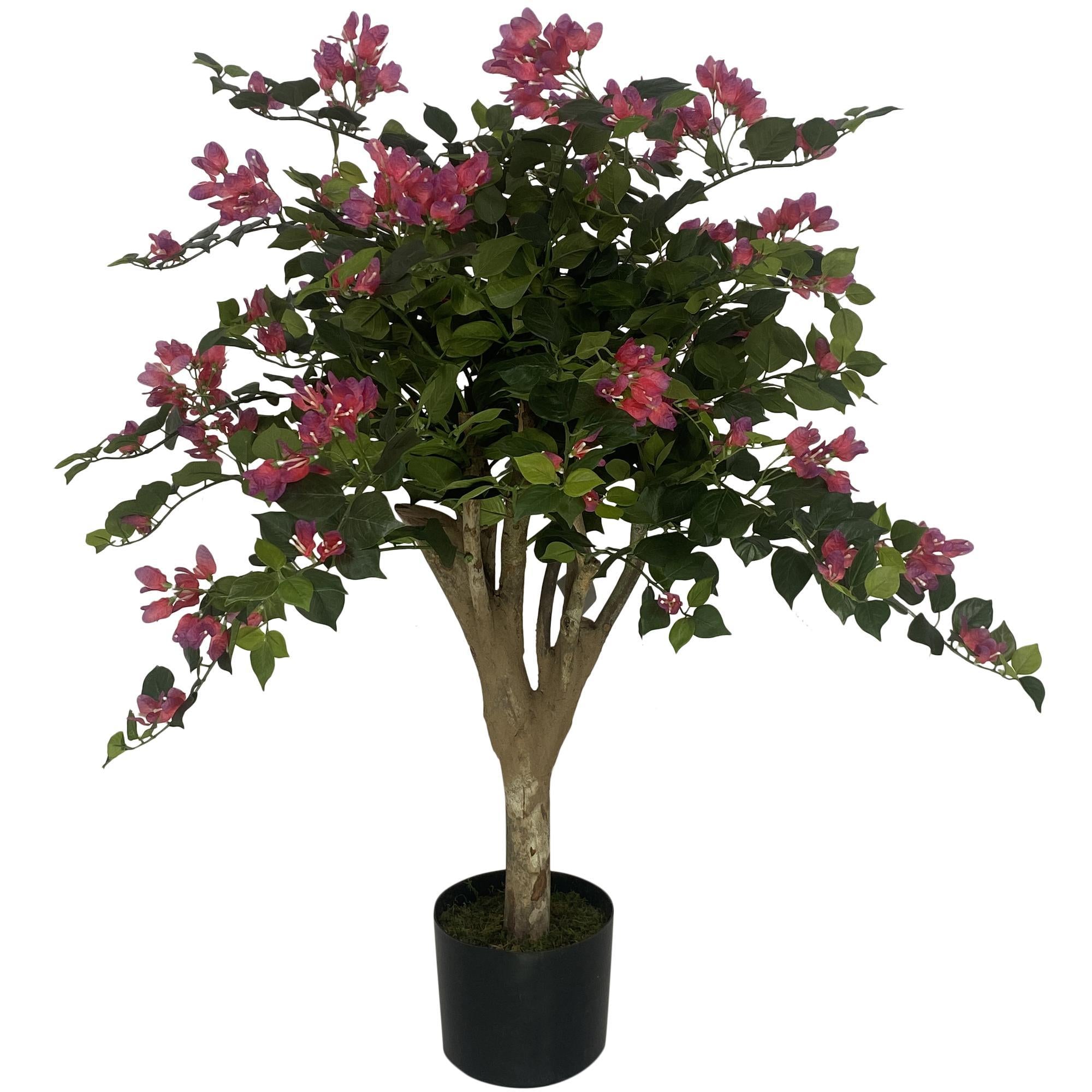 PLANTA DECORATIVA FLORENCIA 592-312182
