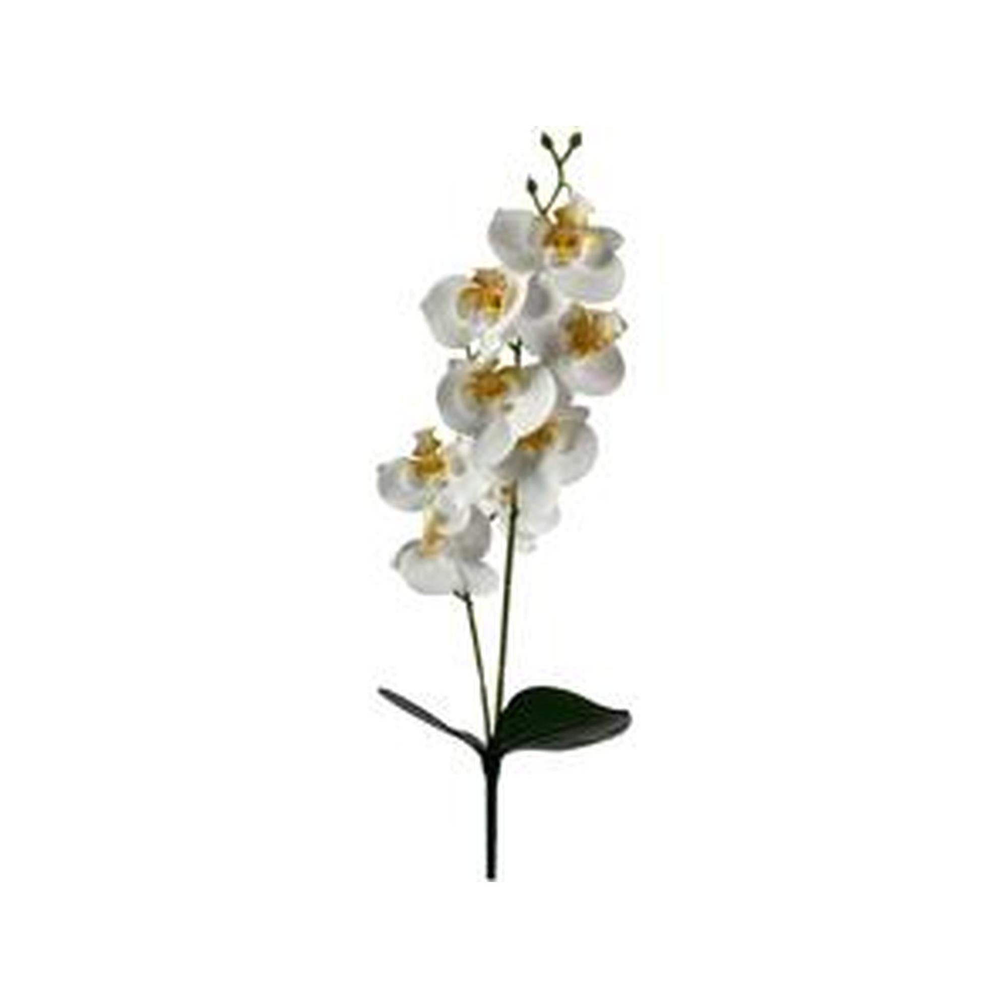FOLLAJE DECOR ORQUIDEAS BLANCAS 592-480044